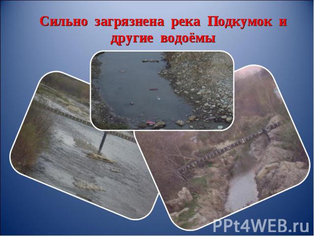 Сильно загрязнена река Подкумок и другие водоёмы