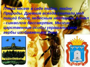 Пчела несет в себе тайну, тайну Природы. Древние всегда считали мед пищей богов,