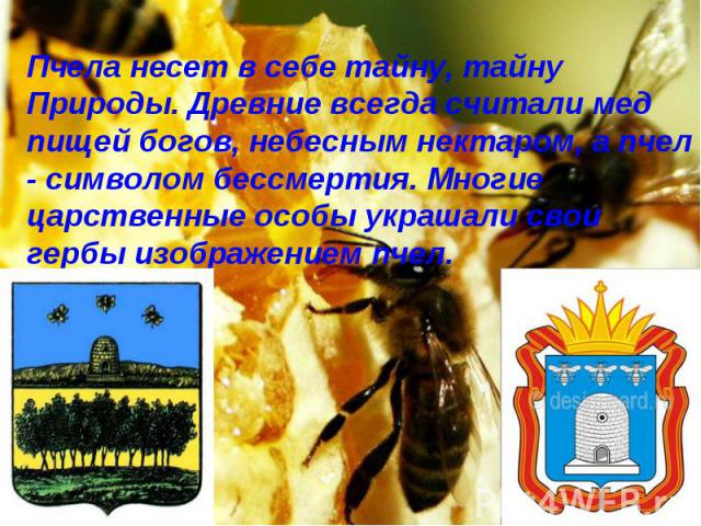 Пчела несет в себе тайну, тайну Природы. Древние всегда считали мед пищей богов, небесным нектаром, а пчел - символом бессмертия. Многие царственные особы украшали свои гербы изображением пчел.