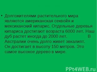 Долгожителями растительного мира являются американская секвойя и мексиканский ки