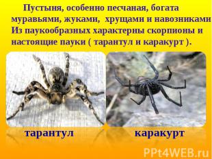 Пустыня, особенно песчаная, богата муравьями, жуками, хрущами и навозниками. Из