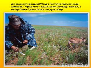 Для сохранения природы в 1990 году в Республике Калмыкии создан заповедник « Чёр