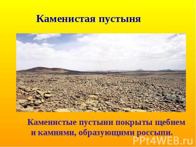 Каменистая пустыня Каменистые пустыни покрыты щебнем и камнями, образующими россыпи.