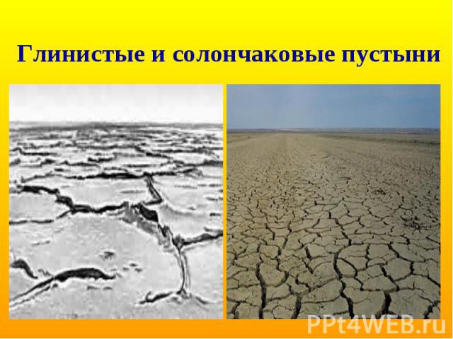 Глинистые и солончаковые пустыни