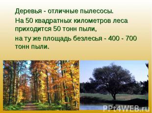 Деревья - отличные пылесосы. На 50 квадратных километров леса приходится 50 тонн
