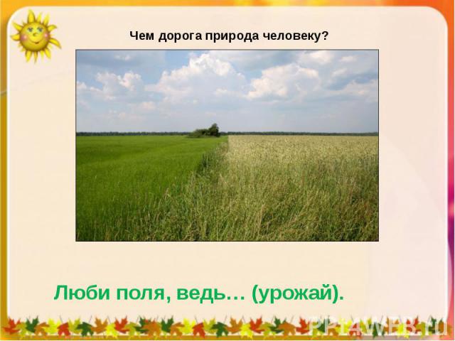 Чем дорога природа человеку? Люби поля, ведь… (урожай).