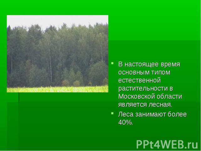 В настоящее время основным типом естественной растительности в Московской области является лесная. Леса занимают более 40%.