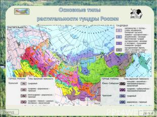 Основные типы растительности тундры России