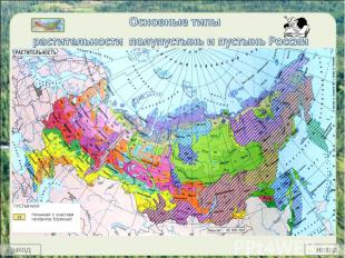 Основные типы растительности полупустынь и пустынь России