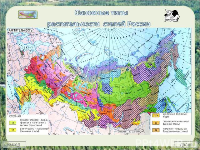 Основные типы растительности степей России