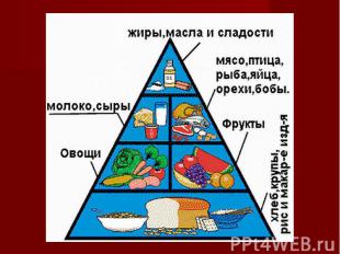 Пирамида питания.