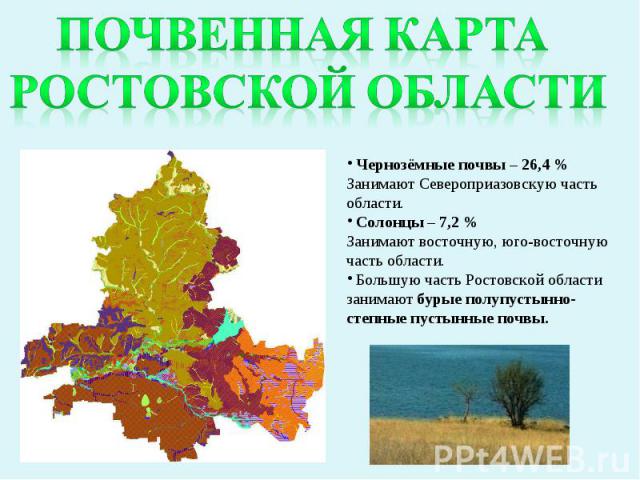 Почвенная карта ростовской области Чернозёмные почвы – 26,4 % Занимают Североприазовскую часть области. Солонцы – 7,2 % Занимают восточную, юго-восточную часть области. Большую часть Ростовской области занимают бурые полупустынно-степные пустынные почвы.