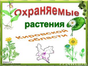 Охраняемые растения Кировской области