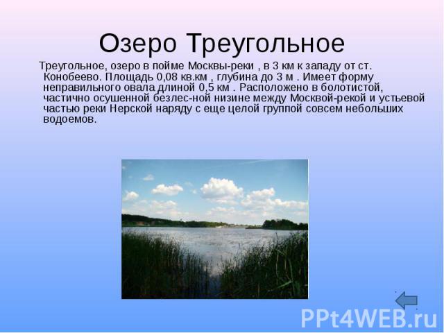 Озеро Треугольное Треугольное, озеро в пойме Москвы-реки , в 3 км к западу от ст. Конобеево. Площадь 0,08 кв.км , глубина до 3 м . Имеет форму неправильного овала длиной 0,5 км . Расположено в болотистой, частично осушенной безлес ной низине между М…