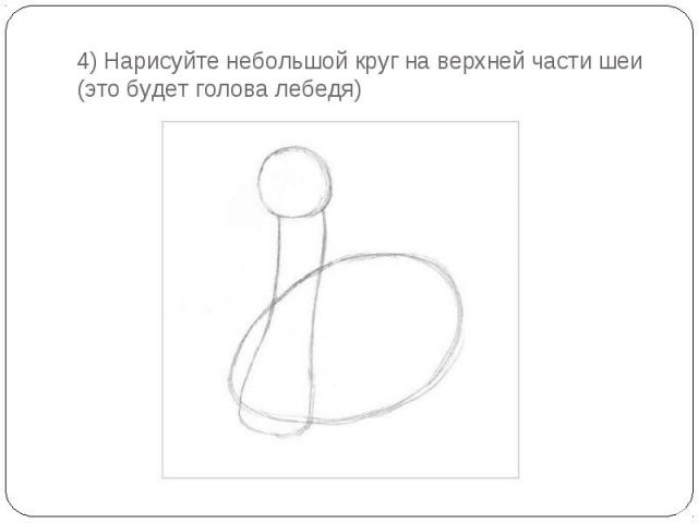 4) Нарисуйте небольшой круг на верхней части шеи (это будет голова лебедя)