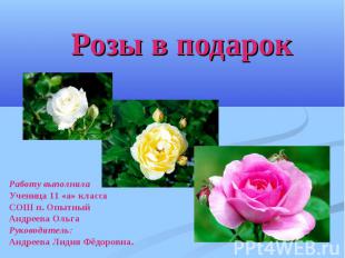 Розы в подарок Работу выполнила Ученица 11 «а» класса СОШ п. Опытный Андреева Ол