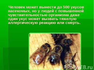 Человек может вынести до 500 укусов насекомых, но у людей с повышенной чувствите
