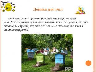 Важную роль в ориентировании пчел играет цвет улья. Многолетний опыт показывает,