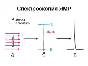 Спектроскопия ЯМР