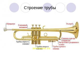 Строение трубы