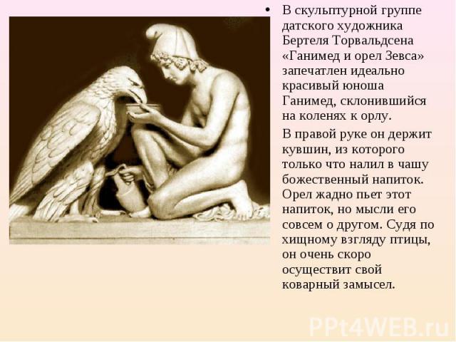 В скульптурной группе датского художника Бертеля Торвальдсена «Ганимед и орел Зевса» запечатлен идеально красивый юноша Ганимед, склонившийся на коленях к орлу. В правой руке он держит кувшин, из которого только что налил в чашу божественный напиток…