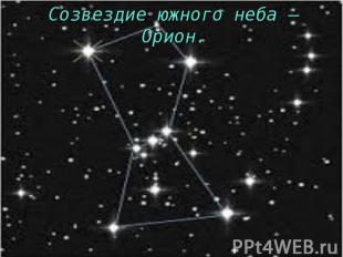 Созвездие южного неба – Орион.