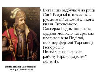 Великий князь Литовський Ольгерд Гедимінович Битва, що відбулася на річці Сині В