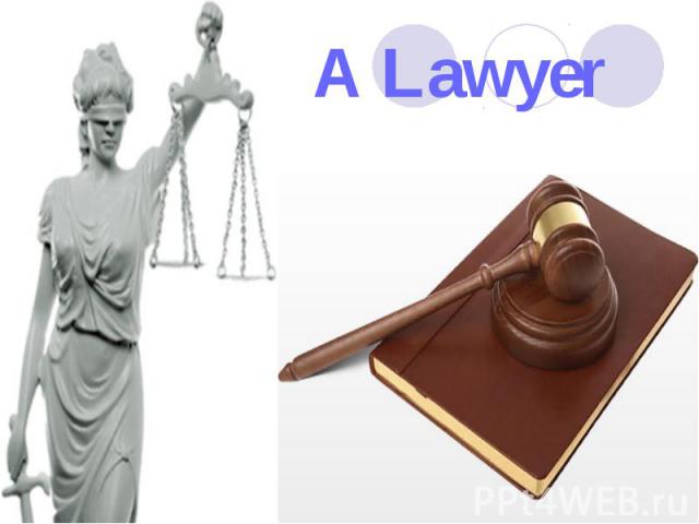 A Lawyer