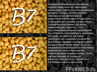 Витамин B6 (пиридоксин, пиридоксаль, пиридоксамин) помогает эффективно использов