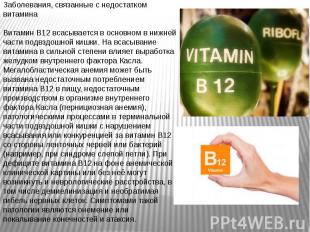 Заболевания, связанные с недостатком витамина Витамин B12 всасывается в основном