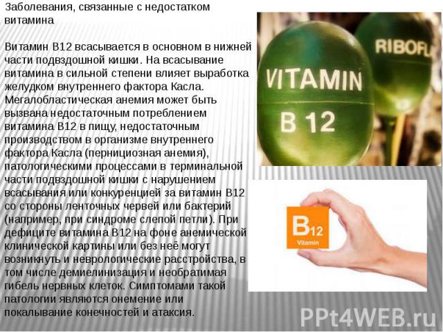 Заболевания, связанные с недостатком витамина Витамин B12 всасывается в основном в нижней части подвздошной кишки. На всасывание витамина в сильной степени влияет выработка желудком внутреннего фактора Касла. Мегалобластическая анемия может быть выз…