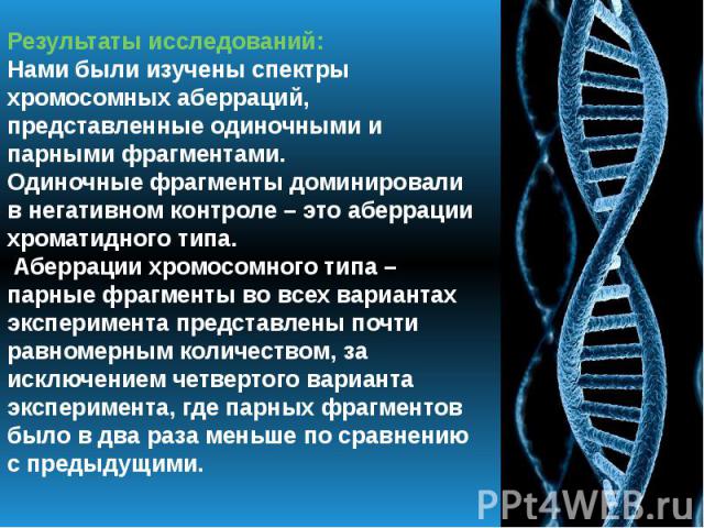 Результаты исследований: Нами были изучены спектры хромосомных аберраций, представленные одиночными и парными фрагментами. Одиночные фрагменты доминировали в негативном контроле – это аберрации хроматидного типа. Аберрации хромосомного типа – парные…