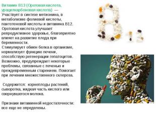 Витамин B13 (Оротовая кислота, урацилкарбоновая кислота) — Участвует в синтезе м