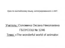 The wonderful world of animals