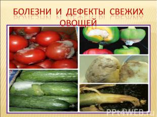 Болезни И дефекты свежих овощей