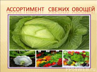Ассортимент свежих овощей