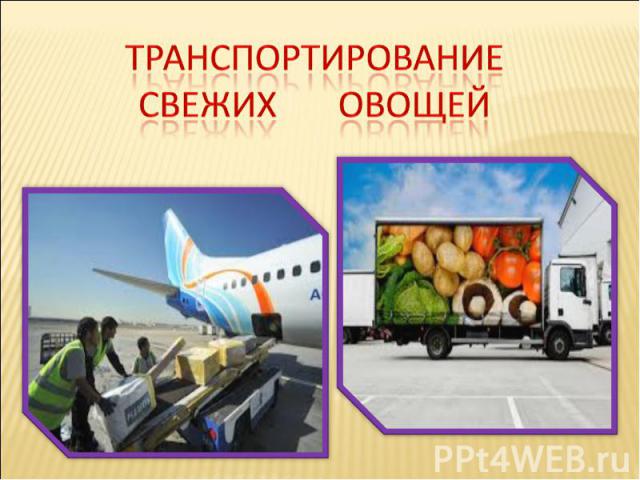 Транспортирование Свежих овощей
