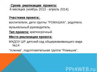 Сроки реализации проекта: 6 месяцев (ноябрь 2013 - апрель 2014). Участники проек