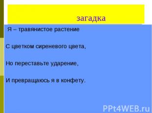 загадка Я – травянистое растение С цветком сиреневого цвета, Но переставьте удар