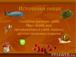Источники пищи: Съедобные растения, грибы Мясо зверей, рыб, пресмыкающихся (змей