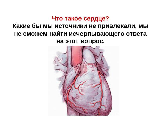 Что такое сердце? Какие бы мы источники не привлекали, мы не сможем найти исчерпывающего ответа на этот вопрос.