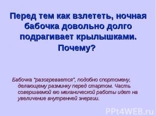 Перед тем как взлететь, ночная бабочка довольно долго подрагивает крылышками. По