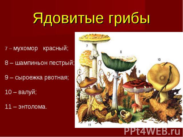 Ядовитые грибы 7 – мухомор красный; 8 – шампиньон пестрый; 9 – сыроежка рвотная; 10 – валуй; 11 – энтолома.