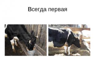 Всегда первая