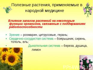 Полезные растения, применяемые в народной медицине Влияние запахов растений на н