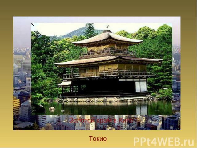 Золотой храм в Кито Токио