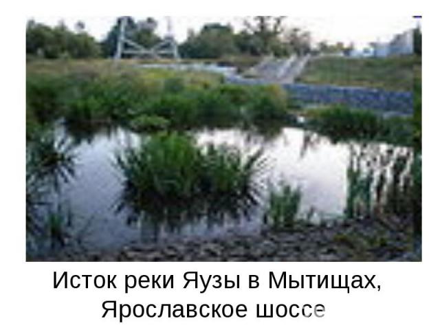 Исток реки Яузы в Мытищах, Ярославское шоссе