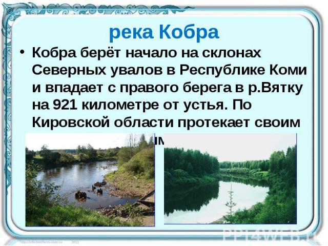 река Кобра Кобра берёт начало на склонах Северных увалов в Республике Коми и впадает с правого берега в р.Вятку на 921 километре от устья. По Кировской области протекает своим средним и нижним течением.