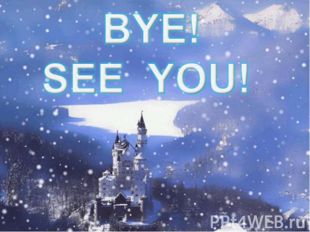 BYE! SEE YOU!