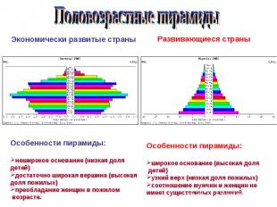 Половозрастные пирамиды Особенности пирамиды: неширокое основание (низкая доля д